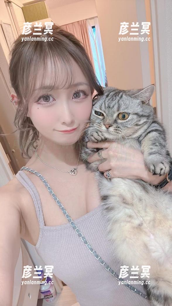 月城委员会 月城委员会的WonderLand作品:网盘里的小秘密,快来窃听风声!