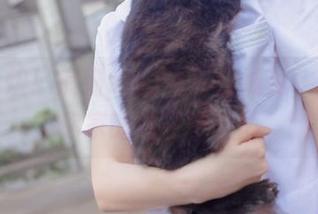 最新出炉！疯猫ss的纯白绒绒兔，套图比你家的狗还可爱！