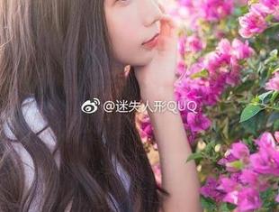 就这么一张，迷失人形QUQ和她的犬神情万种，原图不下载可惜！